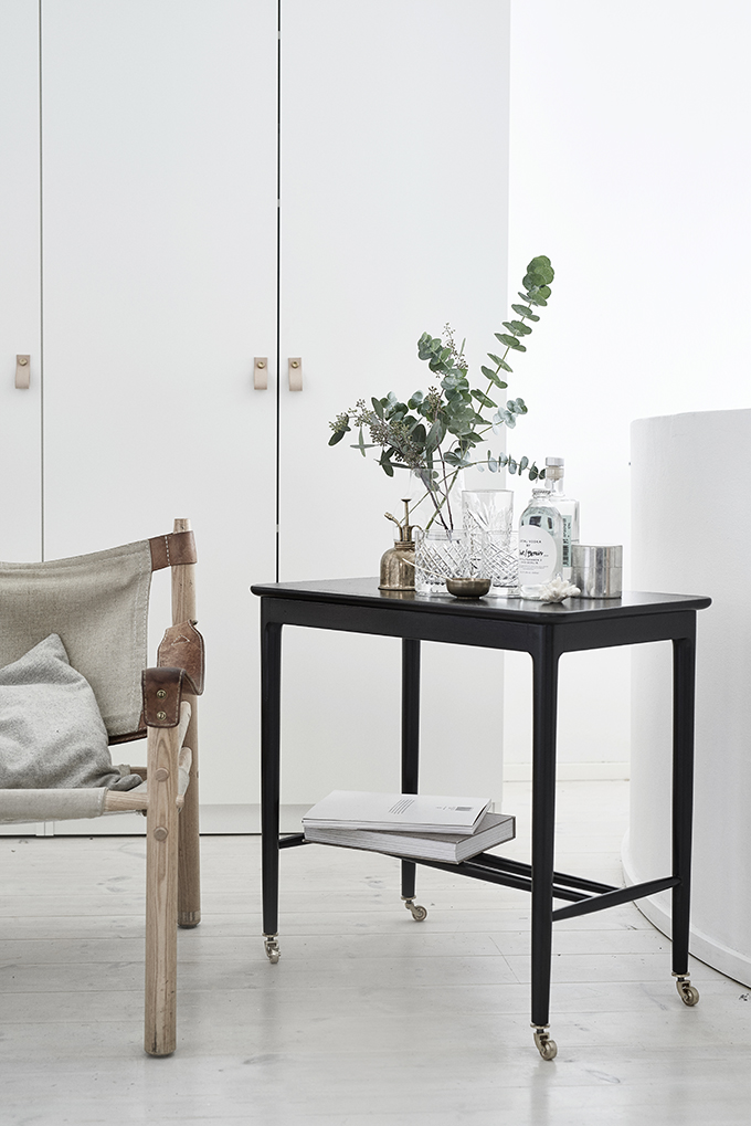 Tarjoiluvaunu interiööri_Tikkurila tuunauskoulu34