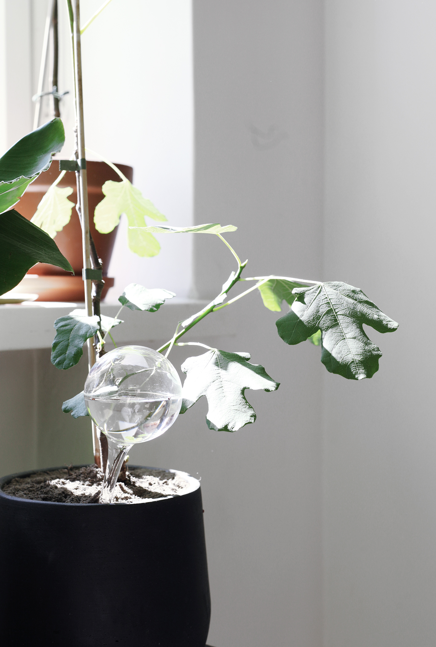 blog5