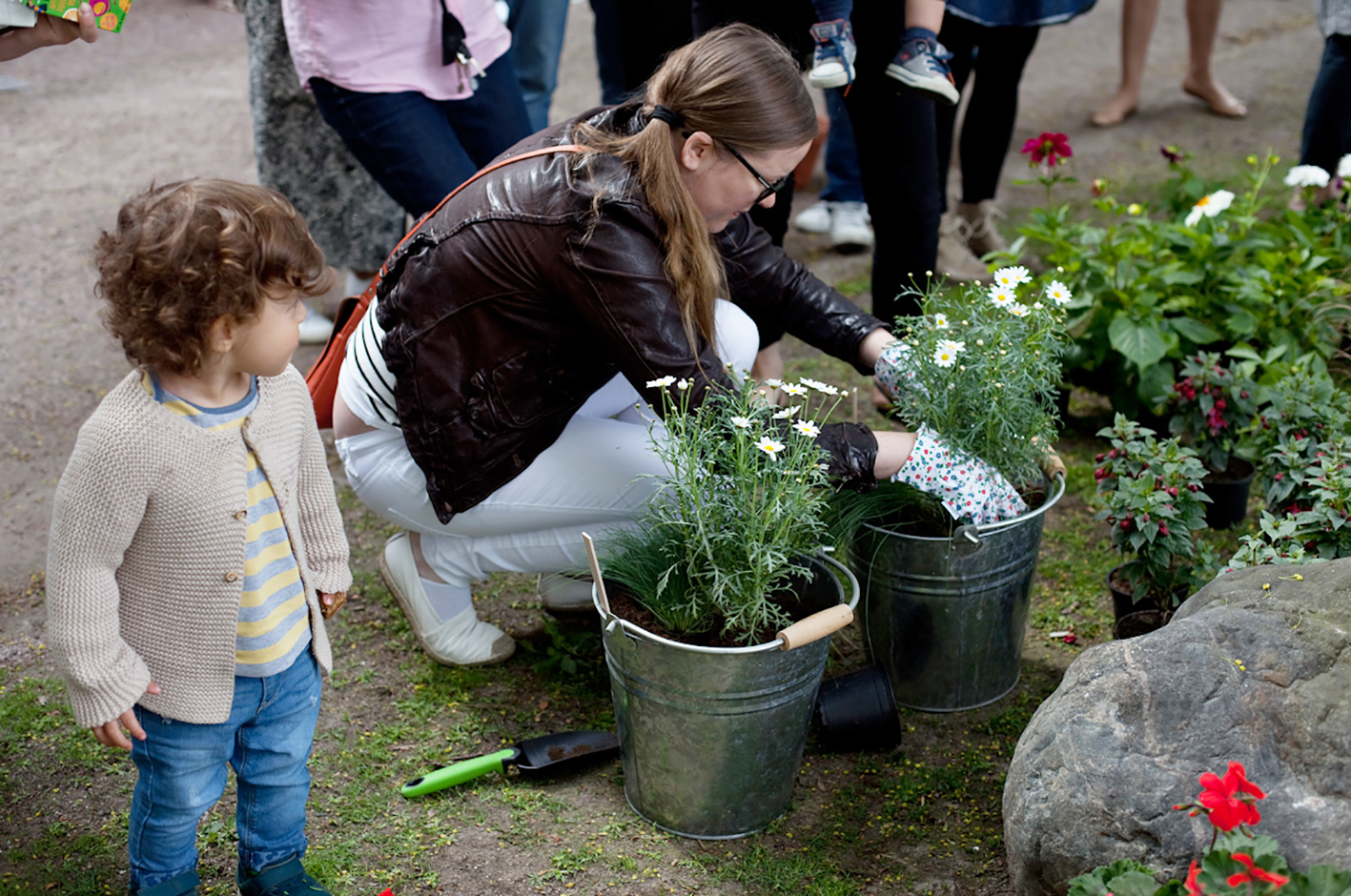 punavuorikukkimaan_2016-0552
