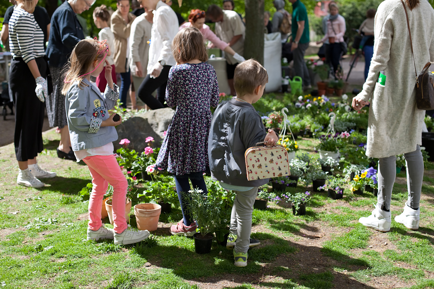 punavuorikukkimaan_2016-0573