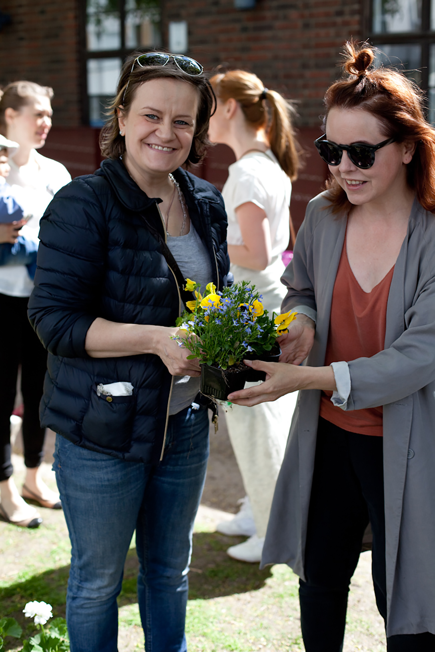 punavuorikukkimaan_2016-0591