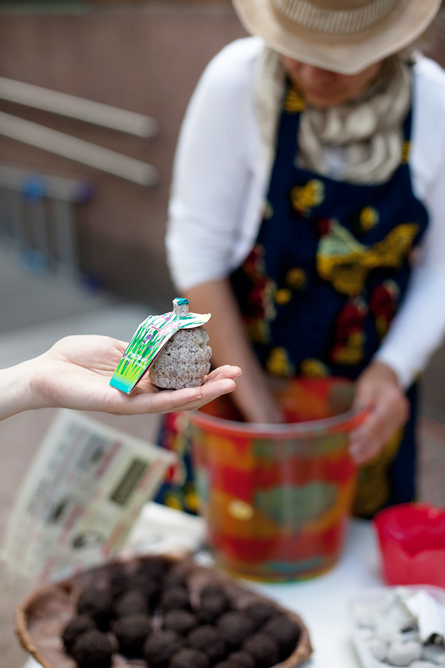 punavuorikukkimaan_2016-0644