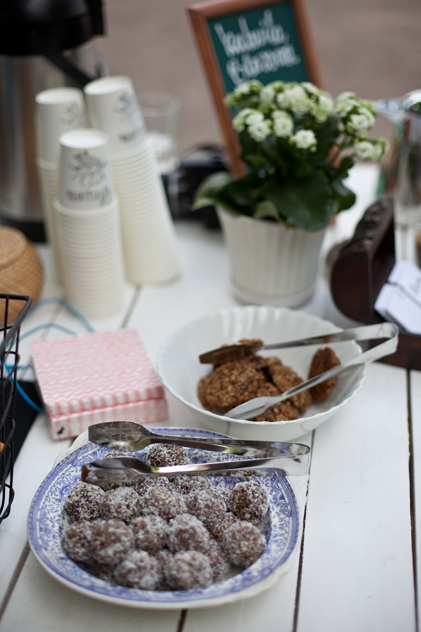 punavuorikukkimaan_2016-0791