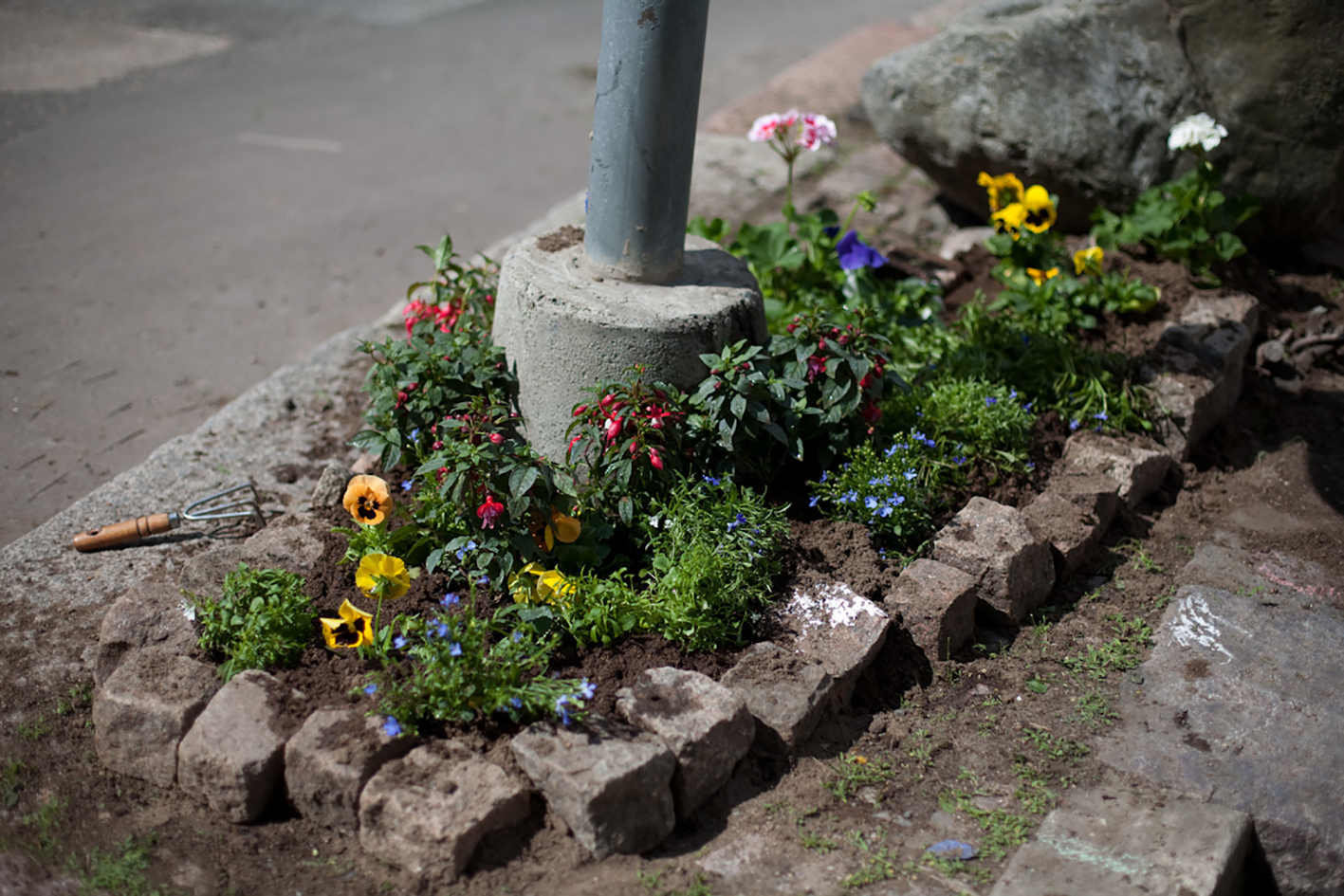 punavuorikukkimaan_2016-0810