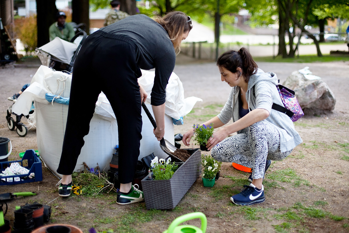 punavuorikukkimaan_2016-0846