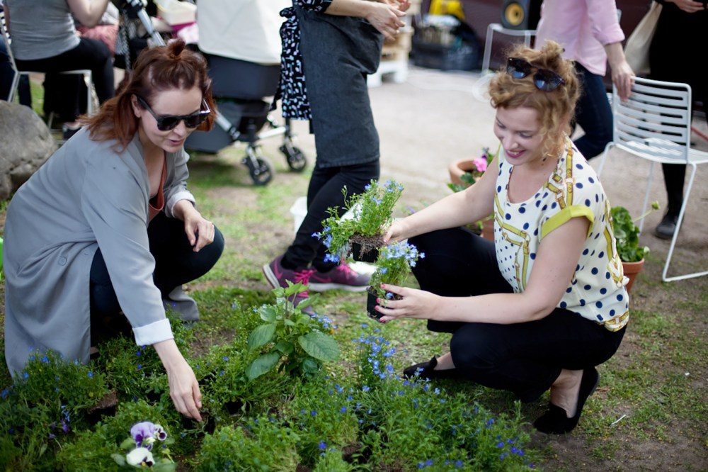 punavuorikukkimaan_2016-0852