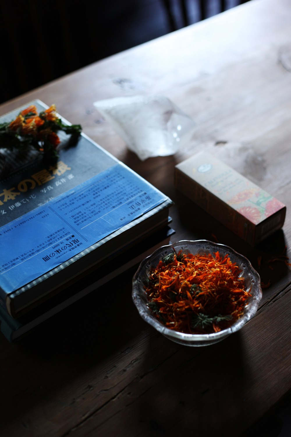 frantsila34_susannavento kopio