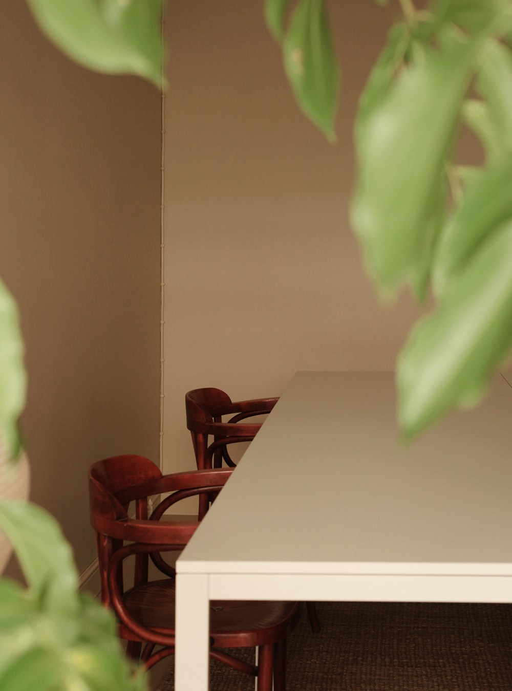 studio_susannavento11