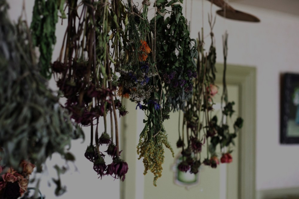 frantsila5_susannavento