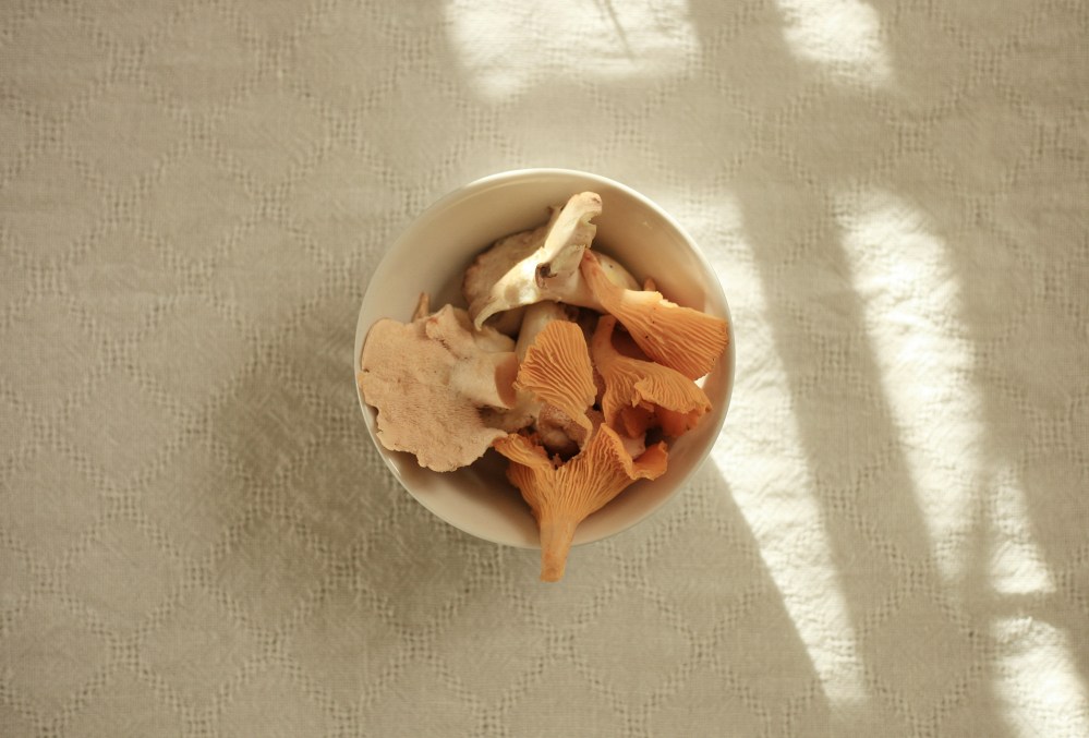 kanttarellitorakkaatjakääpä